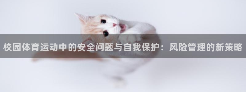 球客岛