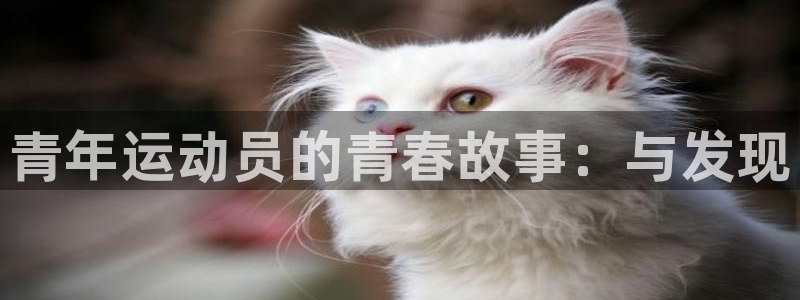 球客岛