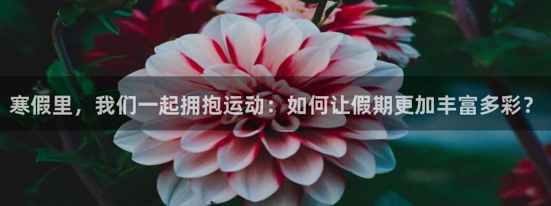 球客岛