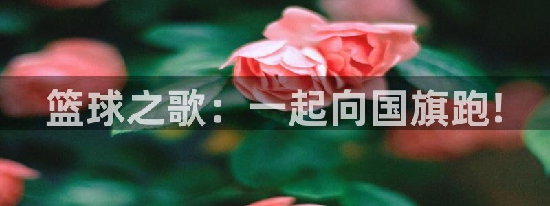 球客岛