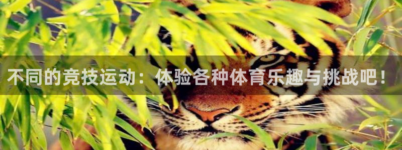 球客岛