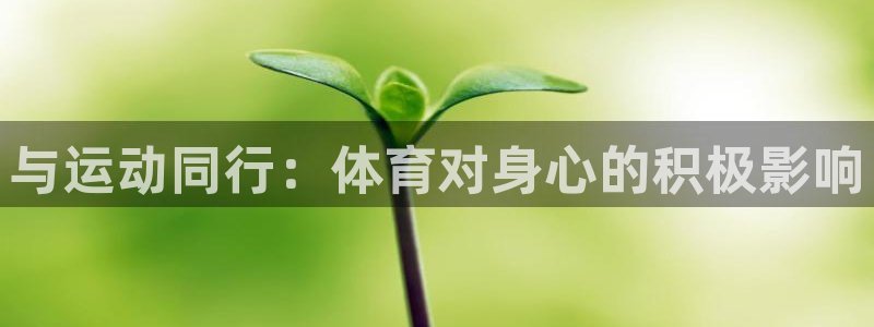 球客岛