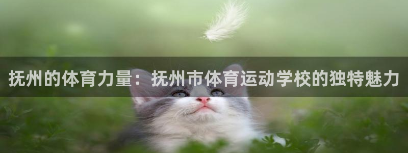 球客岛